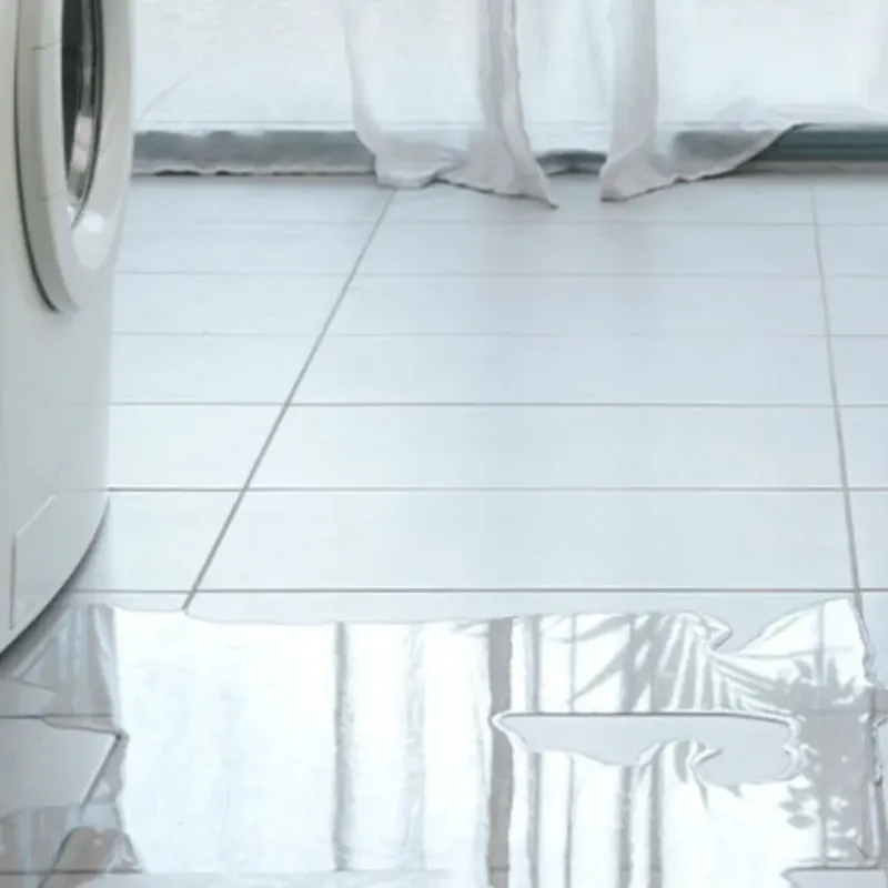 Appliance Leak Cleanup in Sylvania, OH
