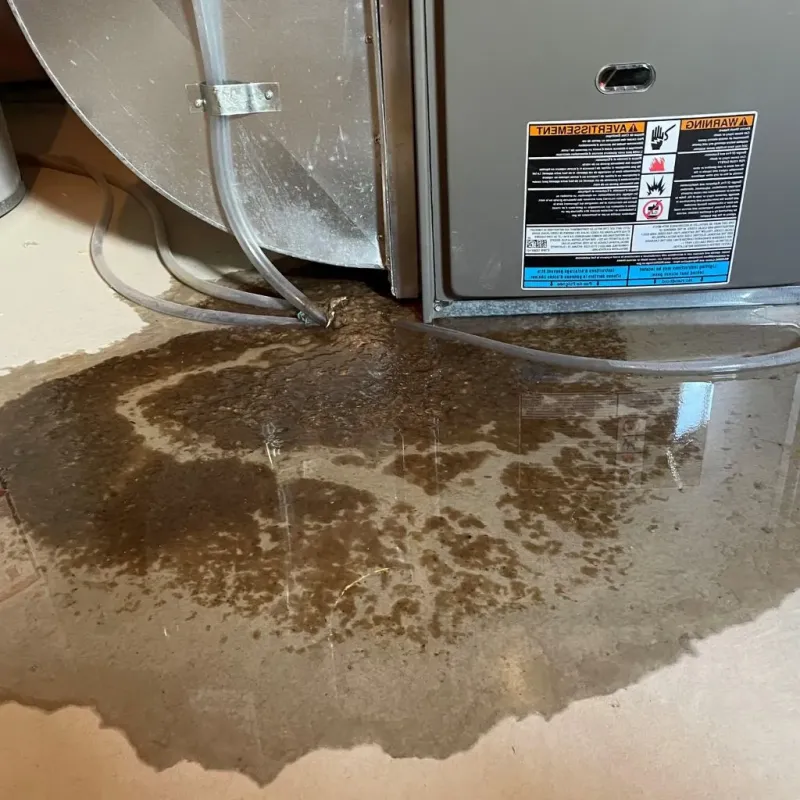 Pipe Burst and Leak Restoration in Sylvania, OH
